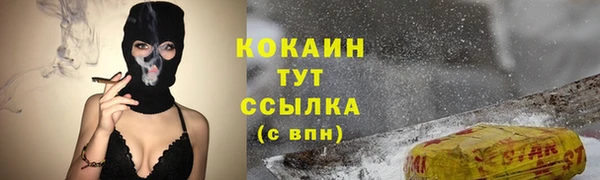 таблы Гусев