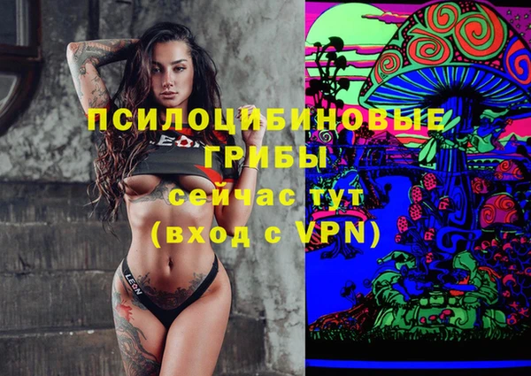 прущая мука Гусь-Хрустальный