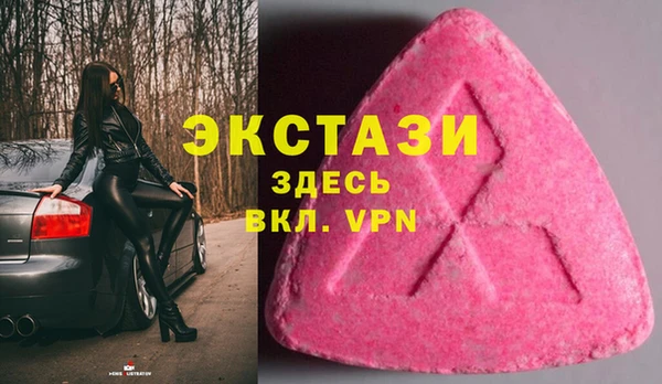 таблы Гусев