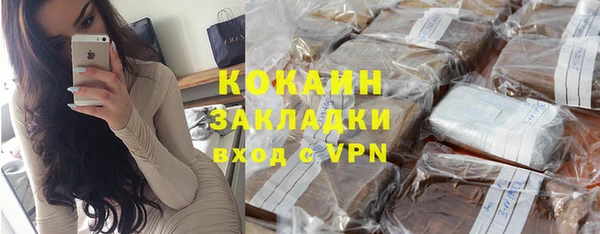 таблы Гусев