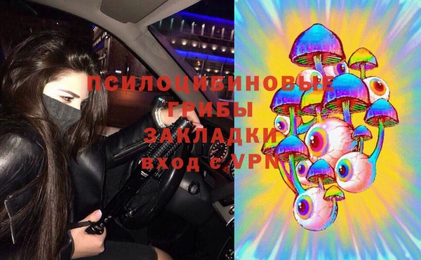 таблы Гусев