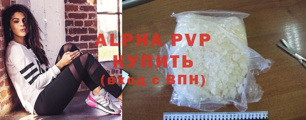 таблы Гусев