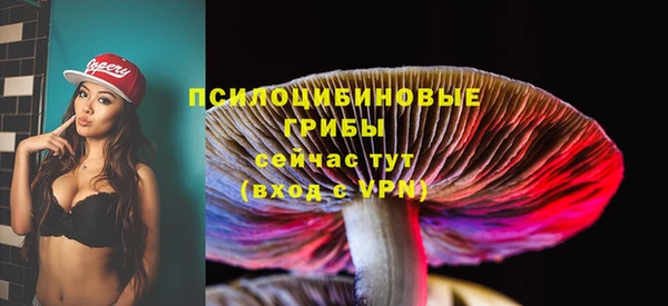 прущая мука Гусь-Хрустальный
