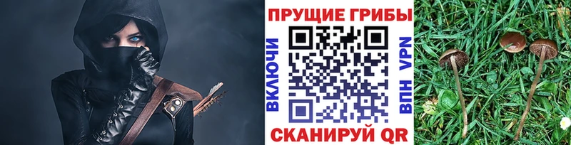 Псилоцибиновые грибы прущие грибы  Купить  Буинск 